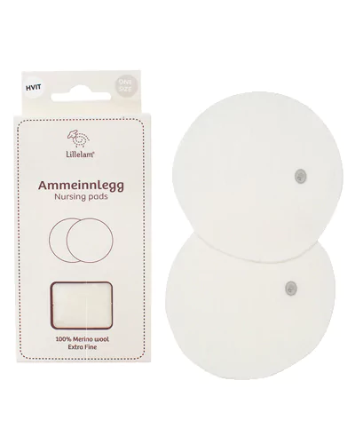 Ammeinnlegg